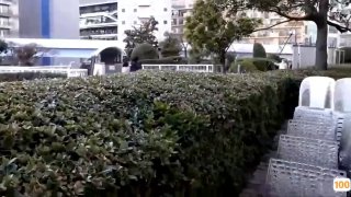 日韩日韩龙猫成人XX成人XX🔞日本中文字幕一区二区三区🔞HD在线观看
